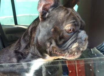 chile/antofagasta-region/shop/tienda-acuario