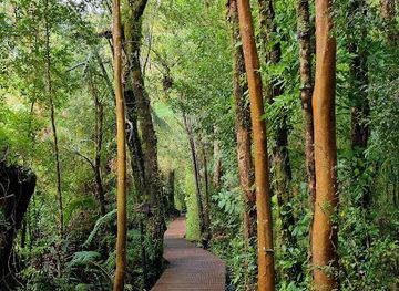 chile/los-lagos-region/shop/termas-de-pichicolo