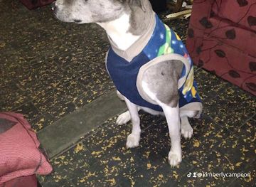 uruguay/sierra-de-los-caracoles/shop/kimby-confecciones