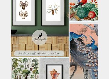 south-africa/table-mountain-national-park/shop/bird-republic