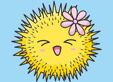 philippines/cagayan-de-oro/carmen/shop/urchin-finds