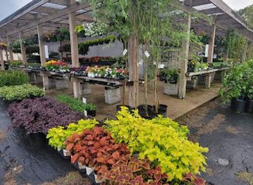 louisiana/atchafalaya-basin/shop/dever-s-garden-center