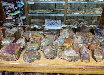 arizona/petrified-forest-national-park/shop/crystal-forest-museum-gifts