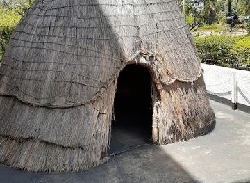 zimbabwe/bulawayo/shop/natural-history-museum-of-zimbabwe