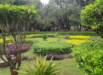 zimbabwe/bvumba-botanical-gardens/shop/natural-history-museum-of-zimbabwe