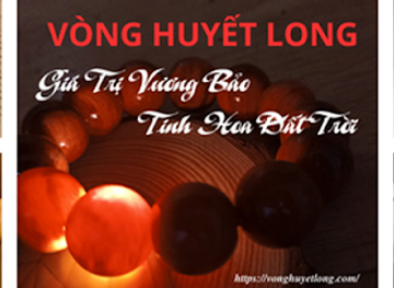 vietnam/ha-long-bay/shop/vonghuyetlong-com-vong-tay-huyet-long-cao-cap