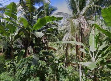 indonesia/pulau-bunaken/shop/as-shop