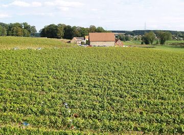 belgium/marquisate-of-franchimont/shop/wine-domaine-du-chenoy