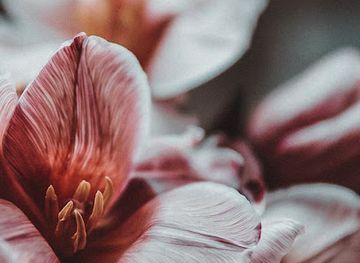 el-salvador/la-libertad/shop/all-for-woman