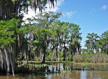 louisiana/atchafalaya-basin/shop/atchafalaya-basin