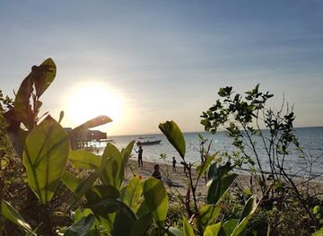 malaysia/pulau-sipadan/shop/amisha-enterprise