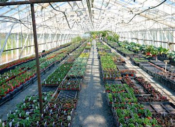 guernsey/st-pierre-du-bois/shop/terry-s-greenhouse-selling-plants