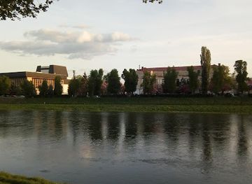 ukraine/uzhhorod/shop/arber-vul-lva-tolstogo