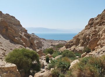 israel/ein-gedi/shop/ein-gedi-eco-park