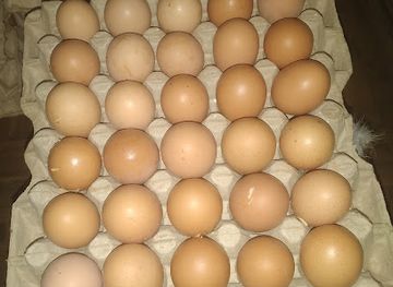 malawi/lilongwe/area-12/shop/eggs