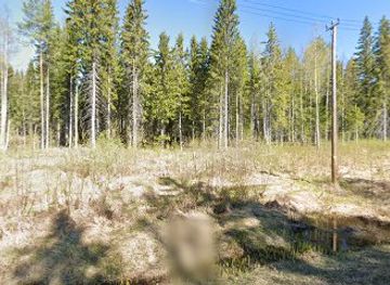 finland/koli-national-park/shop/feel-koli-opastetut-talvi-ja-kesaretket-kolin-kansallispuistossa