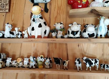 lithuania/dzukija/shop/augu-ukis