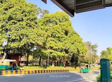 india/delhi/shop/sarojini-nagar-market