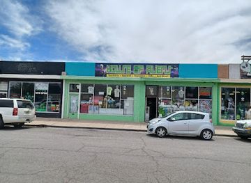 new-mexico/roswell/shop/house-of-aliens