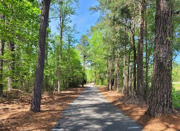 virginia/great-dismal-swamp-national-wildlife-refuge/shop/dismal-swamp-trail