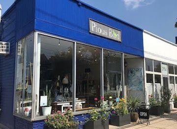 connecticut/long-island-sound/shop/pious-bird-of-good-omen