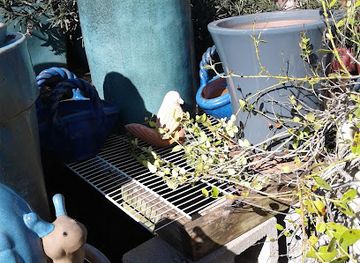 texas/beaumont/shop/diane-s-gifts