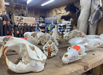 south-dakota/jewel-cave-national-monument/shop/claw-antler-hide-co