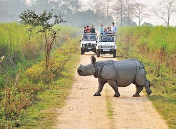 india/kaziranga-national-park/shop/kaziranga-national-park