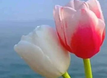 kenya/tsavo-national-park/shop/smartmart-shop-tausa