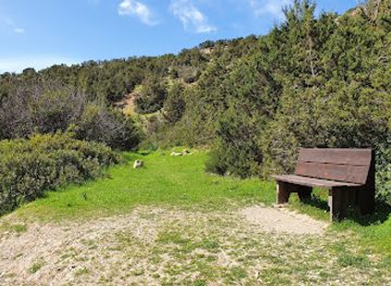 cyprus/troodos-national-forest-park/shop/avakas-gorge-nature-trail