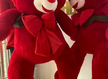 benin/zou/shop/gy-concept-surprise-and-gift-shop