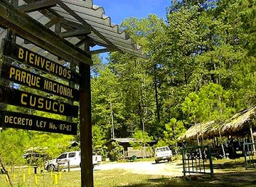 honduras/cusuco-national-park/shop/cusuco-national-park