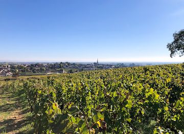 france/burgundy-vineyards/shop/le-caveau-a-auxey