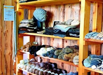 estonia/jarva-county/shop/wile-alpaca-farm