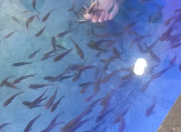 india/goa/shop/old-goa-shoping-center