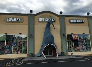 tennessee/great-smoky-mountains/shop/jaws-souvenir-store