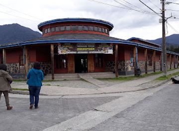 chile/los-lagos-region/shop/loofah-piremahuida-hornopiren