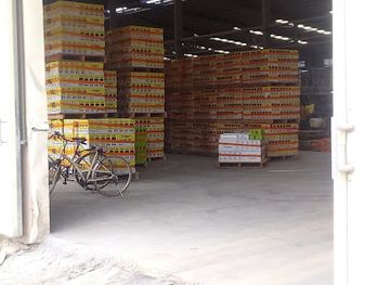 tanzania/ruaha-region/shop/keda-ceramics-co-ltd