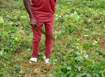 benin/plateau/shop/illikimoun