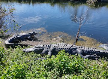 florida/big-cypress-national-preserve/shop/nathaniel-p-reed-visitor-center