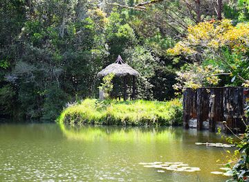 madagascar/andasibe-mantadia-national-park/shop/parc-national-andasibe-mantadia