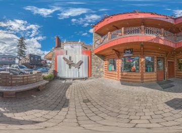 montana/flathead-lake/shop/electric-buffalo-gallery