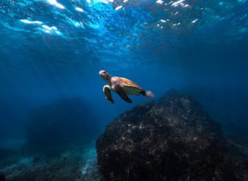 australia/ningaloo-reef/shop/salty-swims
