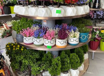 turkmenistan/mary/shop/arzan-dukan