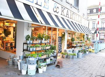 belgium/east-flanders/shop/dille-kamille