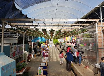 malaysia/cameron-highlands/shop/green-view-garden-cameron-highlands