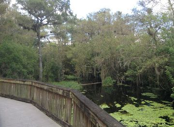 florida/big-cypress-national-preserve/shop/kirby-storter-roadside-park