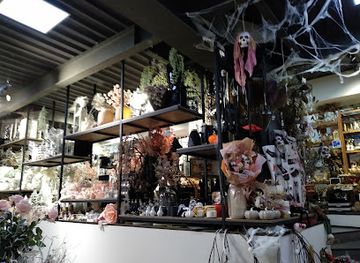 ukraine/zaporizhzhia/shop/camellia