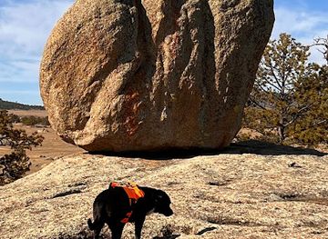wyoming/medicine-bow-national-forest/shop/medicine-bow-national-forest