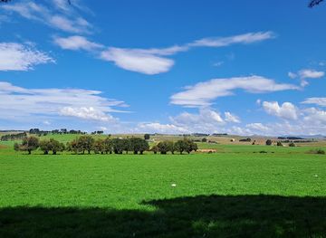 south-africa/drakensberg-mountains/shop/the-olde-duck